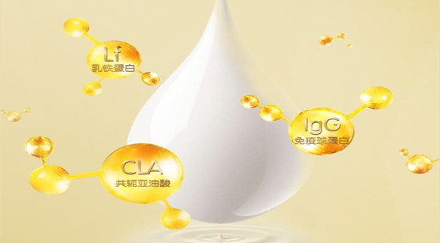 b297302e5352e53fbd002a5af7e56b1e_副本.jpg