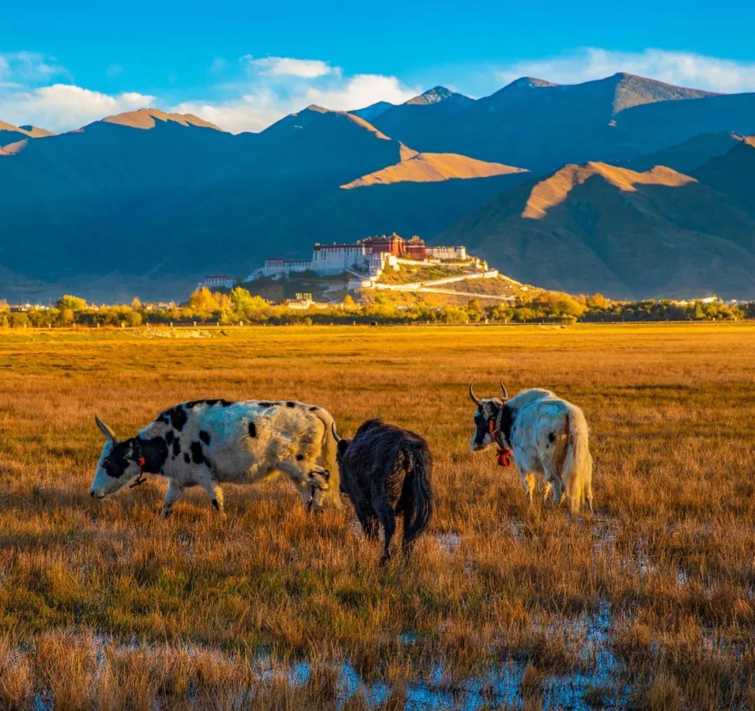 1663052253232260.jpg 1.jpg