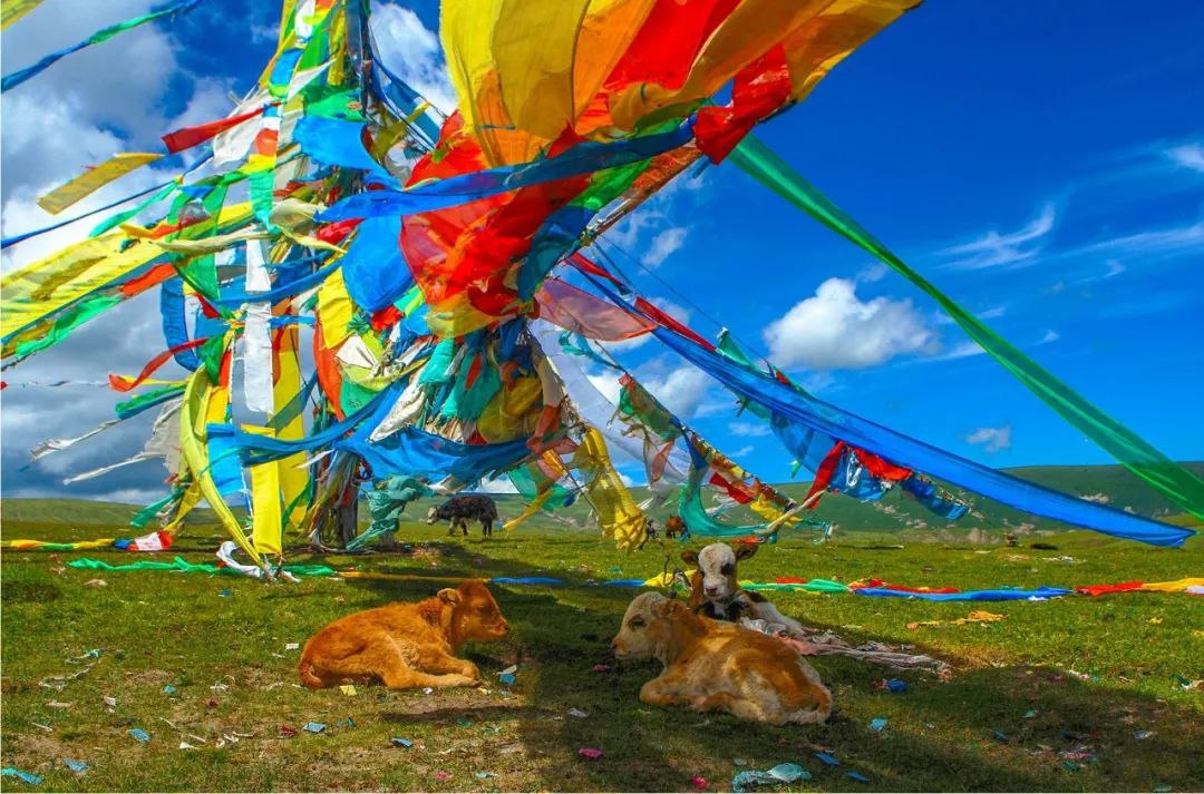 1663052355273359.jpg 4.jpg