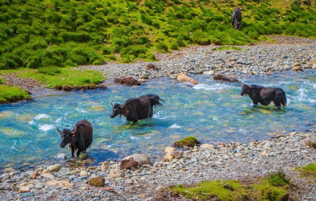 1663061251281011.jpg 5.jpg