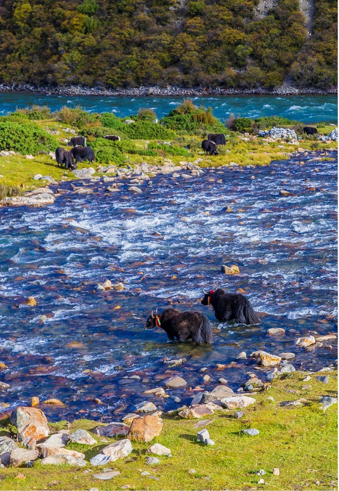 1663061268774322.jpg 6.jpg