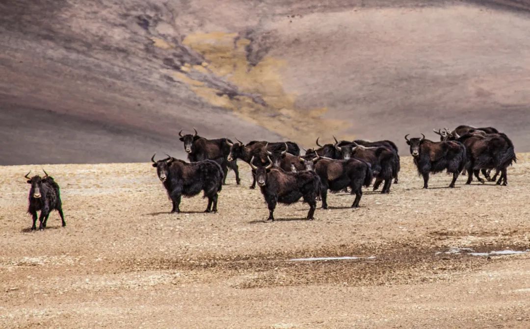 1663061307986104.jpg 7.jpg