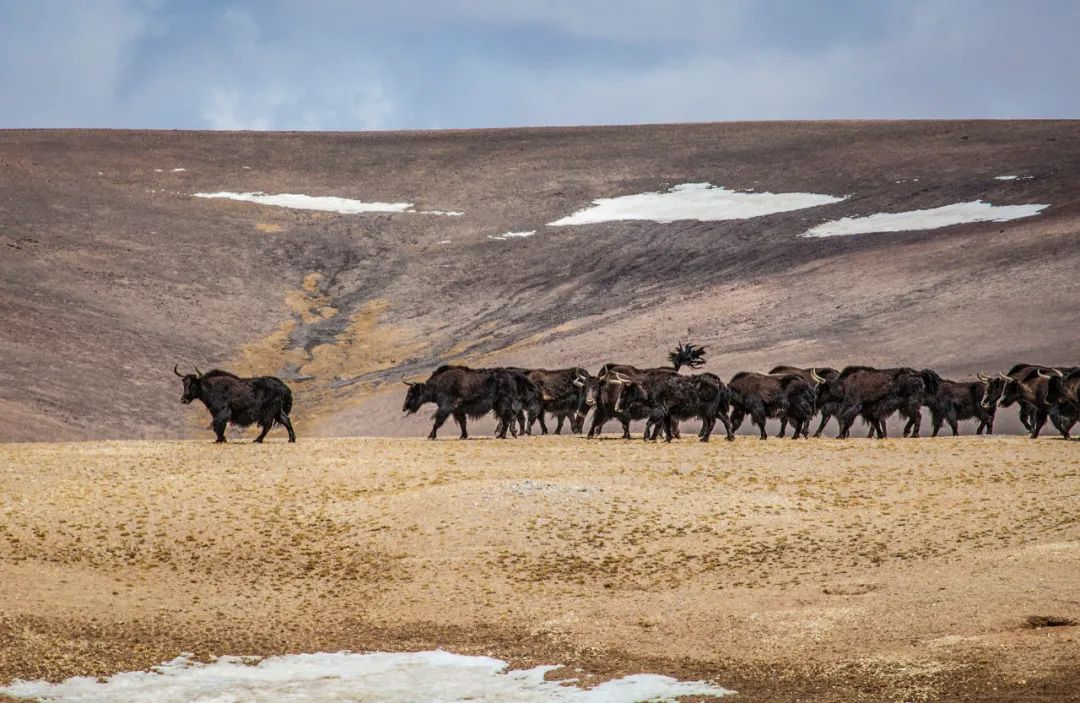 1663061323184627.jpg 8.jpg