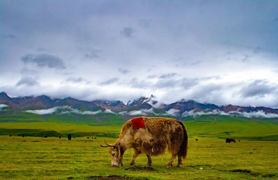 1663061357214697.jpg 10.jpg