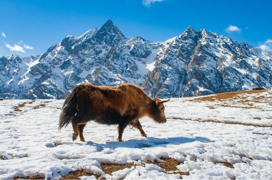 1663061372385770.jpg 11.jpg