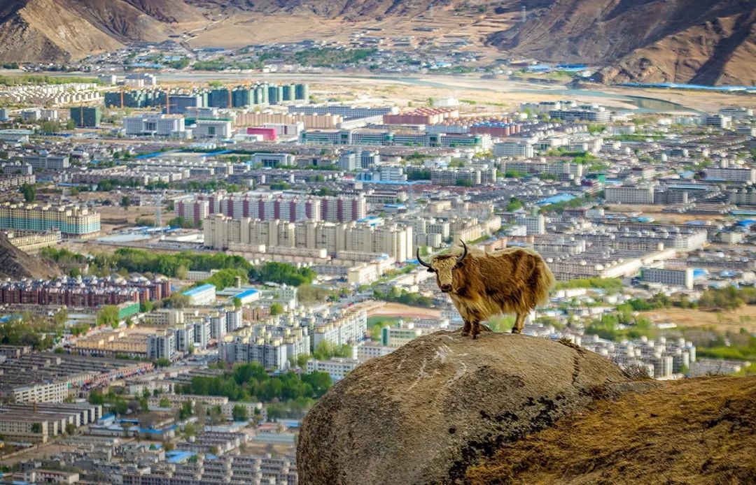 1663061389383716.jpg 12.jpg