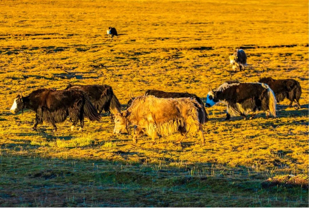 1663061406254860.jpg 13.jpg