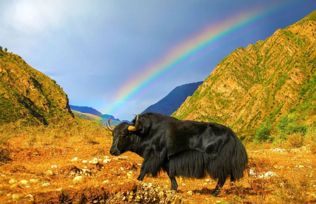 1663061481772558.jpg 15.jpg