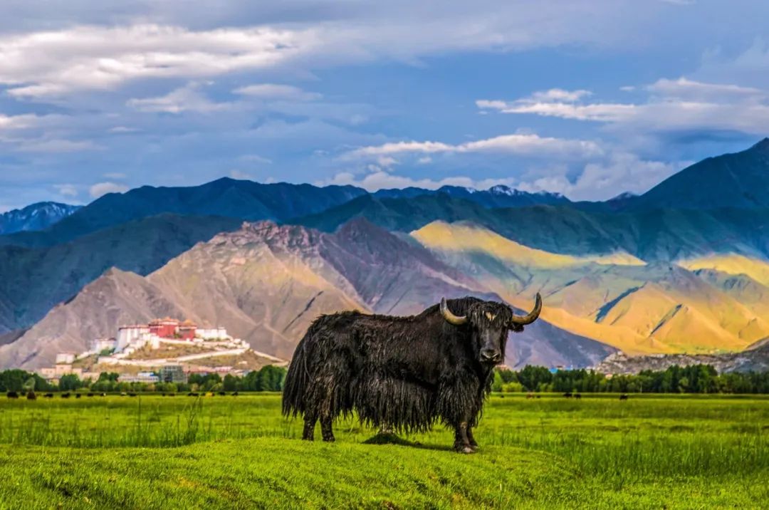 1663061495618403.jpg 16.jpg