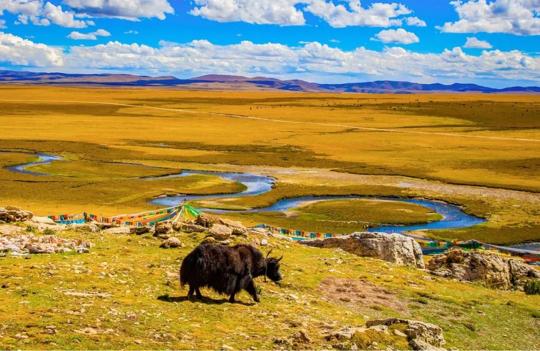 1663061543683428.jpg 17.jpg