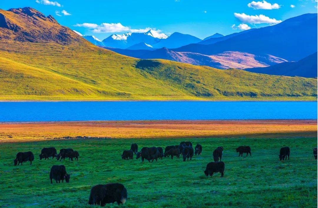 1663061641853931.jpg 18.jpg