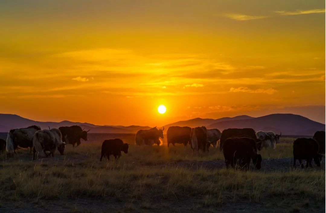 1663061662378841.jpg 19.jpg